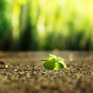 舒淇古装露逼视频
